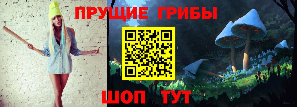 Нерюнгри  Псилоцибиновые грибы Psilocybe  Вход с VPN 