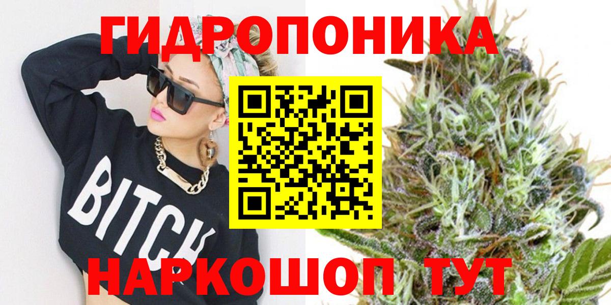 Конопля сатива Нерюнгри